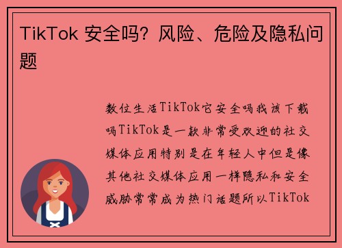 TikTok 安全吗？风险、危险及隐私问题